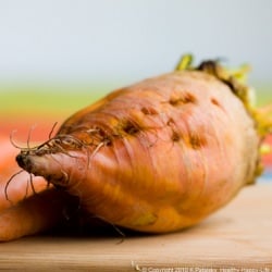 Spicy Golden Beet Juice