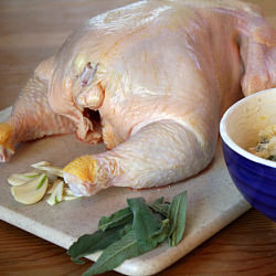 How to Roast a Chicken