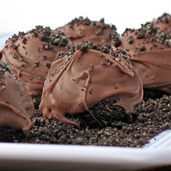 Mint Oreo Truffle Bombs