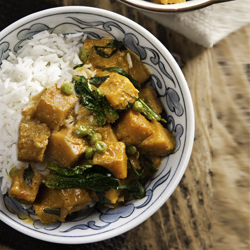 Coconut and Pumpkin Red Curry