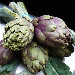 Artichoke + Courgette Fritto Misto