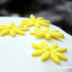 My First Cake Decorating Session