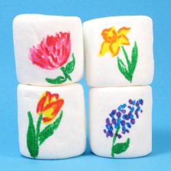 Spring Marshmallows