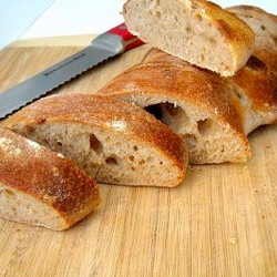 Whole Wheat Sourdough Bread