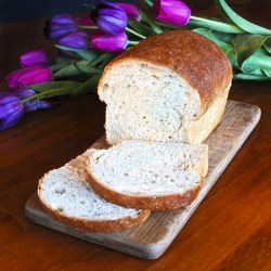 Tanzanian Safari Bread