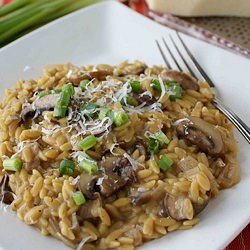 Mushroom Orzo Risotto