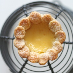 Little Vanilla Custard Pies