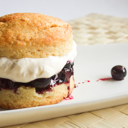 Blueberry & Lemon Shortcake