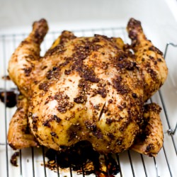 Honey Adobo