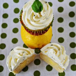 Lemon Olive Oil Cupcakes