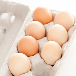 Scrambled Eggs