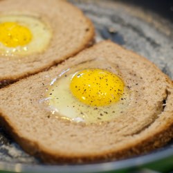 Broken Bird Nests