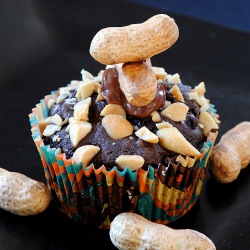 Best Guilt-free Chocolate Cupcake