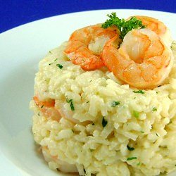 Shrinp Risotto