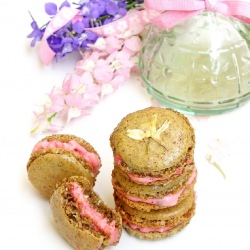 Macarons with Fruity Fro Yo Filling