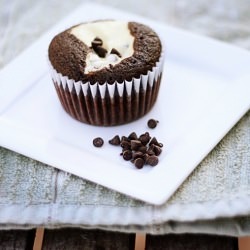Chocolate Cream Cheese Cupcakes