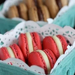 Rose Macarons