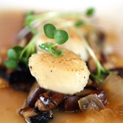 All About Scallops