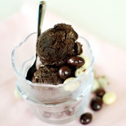 Espresso Bean Chocolate Ice Cream