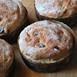 Panettone