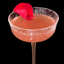The Persian Rose