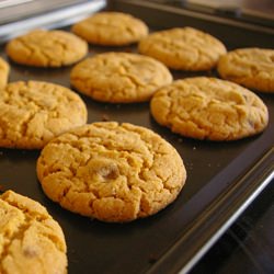 Peanut Butter Choc Chunk Cookies