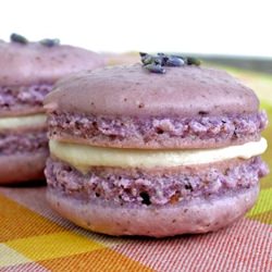 Macarons