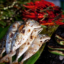 Fish Market in Chiang Mai