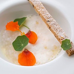 Passionfruit Custard