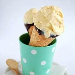 Coconut Ice Cream