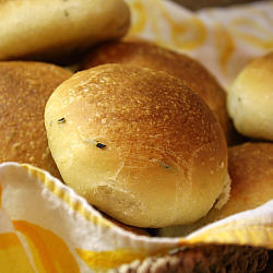 Olive Oil & Rosemary Rolls