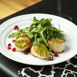 Sea Scallops