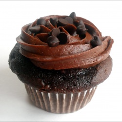 10 Dozen Cupcakes