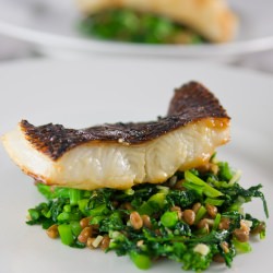 Black Cod with Sweet Miso Glaze
