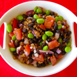 Black Bean, Edamame and Wheat Berry