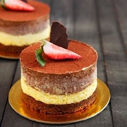 Tiramisu and Chocolate Mousse Cake