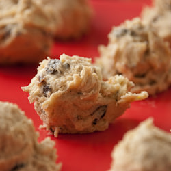 Compost Cookies