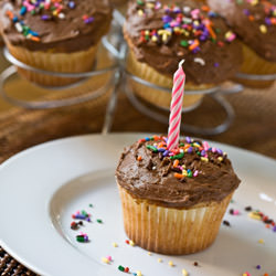Vanilla Cupcakes