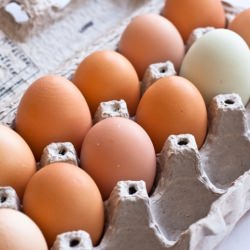 Farm Fresh Eggs