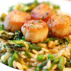 Spring Vegetable Risotto