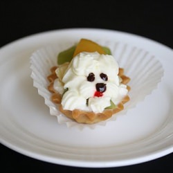 Dog Fruit Tart