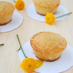 Almond Cakes w/ Sugared Apple Icing
