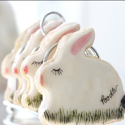 Painted Cookies