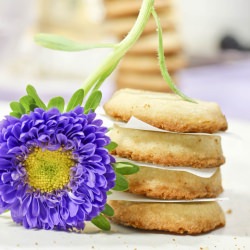 Shortbread Cookies