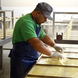 Hodo Soy Beanery