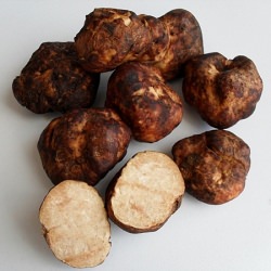 Truffle Mushrooms