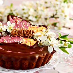 Chocolate Tartelettes with Kirsch