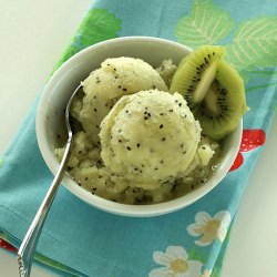 Organic Kiwi Sorbet