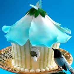 Tweeter Home