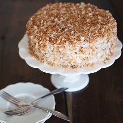 Chocolate Cake with Toasted Coconut